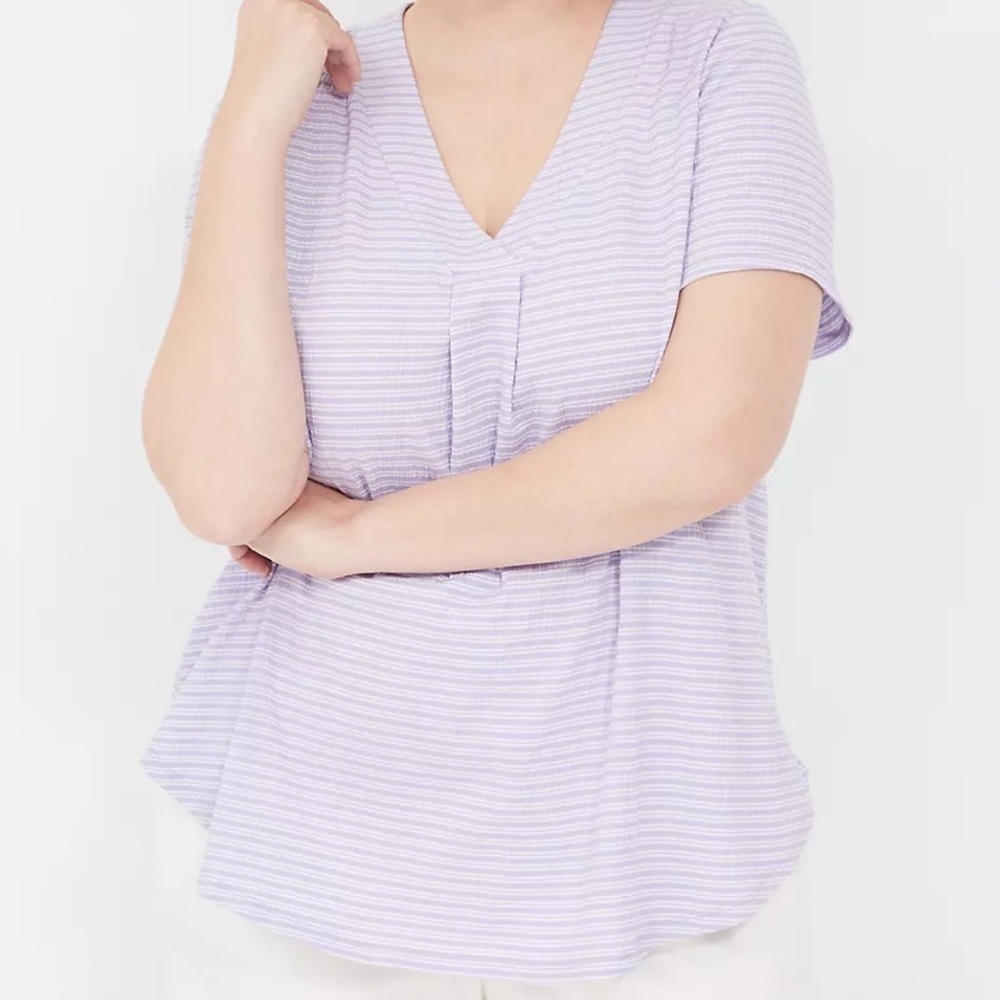 Lane Bryant Fun & Flirty Blue Vneck Short Sleeve Shirt Cotton SZ 18/20